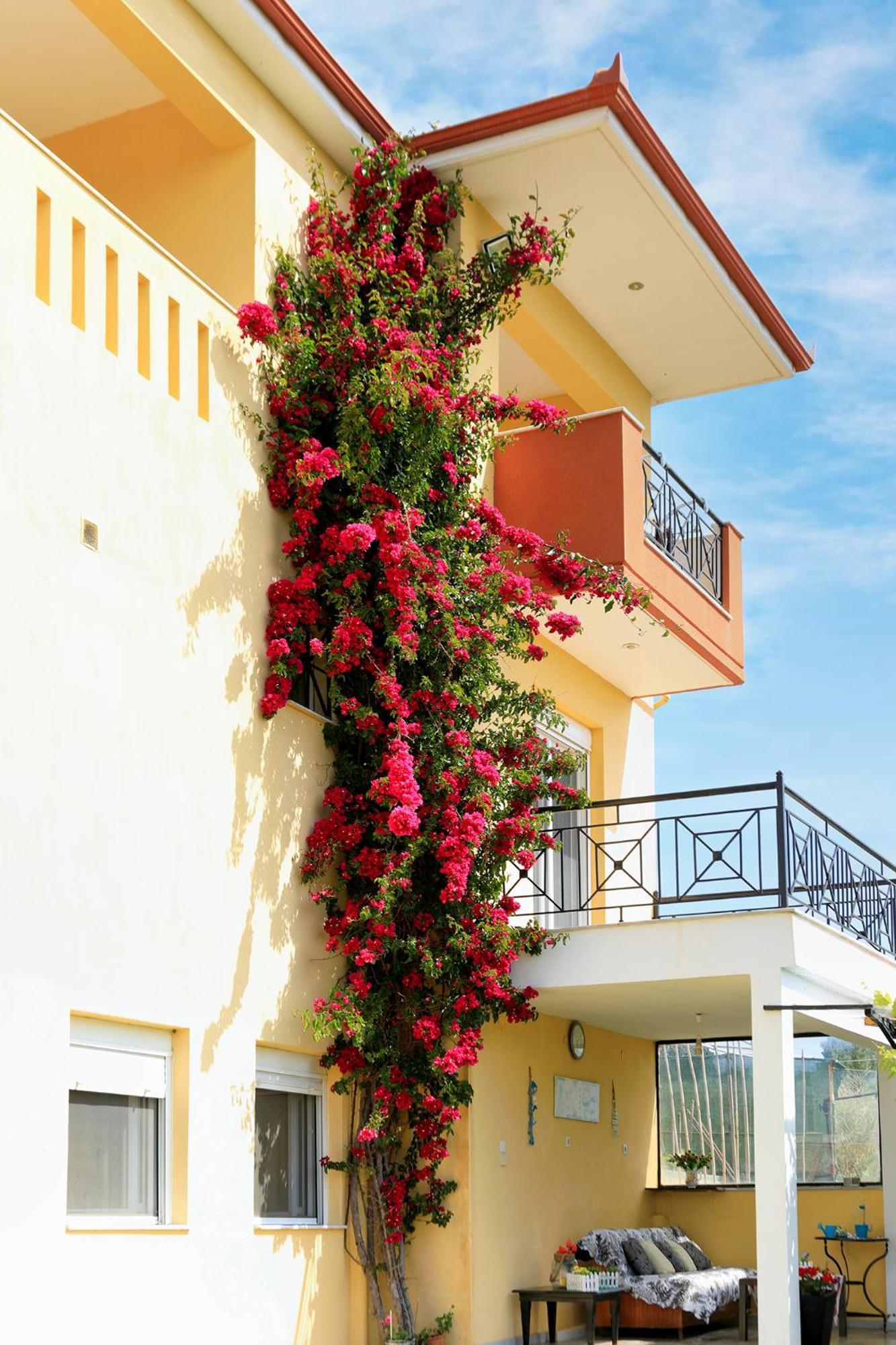 Ventus E Paradiso Villa Nikiti Halkidiki Buitenkant foto
